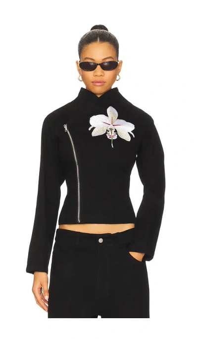 1xblue Orchid Jacket