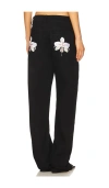 1xblue Orchid Jean In Black