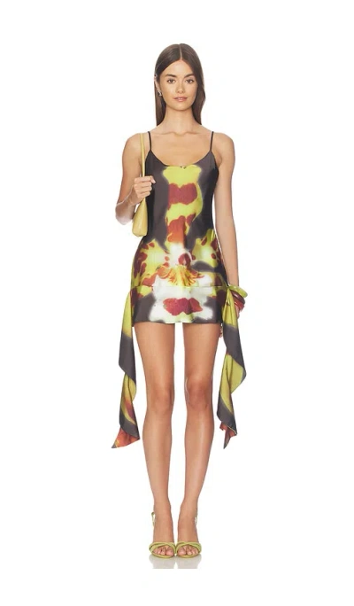 1xblue Orchid Mini Dress In Multi