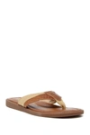 TOMMY BAHAMA Anchors Astern Leather Flip Flop