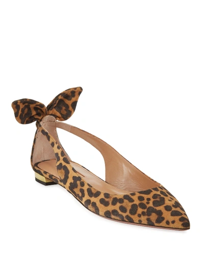 Aquazzura Deneuve Leopard Ballet Flats In Sabbia