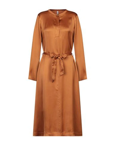 Aglini Long Dress In Brown