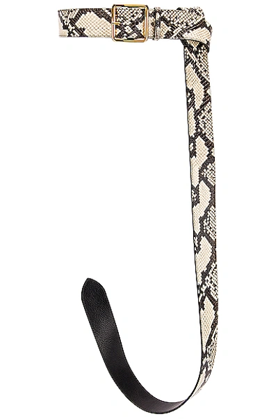 Alexander Mcqueen Extra-long Python-effect Leather Belt In Roccia