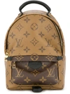 LOUIS VUITTON palm springs mini backpack 