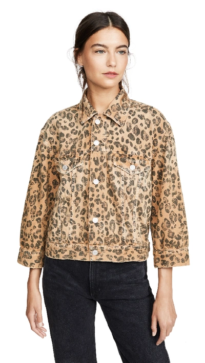 Amo Lulu Jacket In Leopard