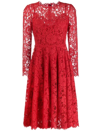 Dolce & Gabbana Cotton-blend Guipure Lace Dress In Red