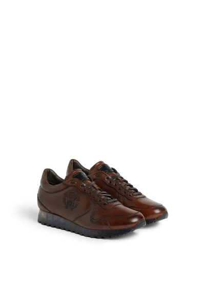 Roberto Cavalli Rc Monogram Lace Up Sneakers In Brown