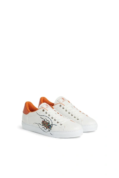 Roberto Cavalli Beetle Print Lace Up Sneakers In White