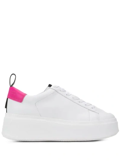 Ash Neon Heel Platform Sneakers In White/pink