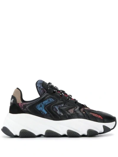 Ash Extreme Multicolor Sneaker In Black