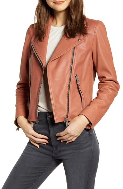 Allsaints Dalby Leather Biker Jacket In Rose Pink