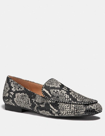 Coach Harper Snake-print Loafers In Natural