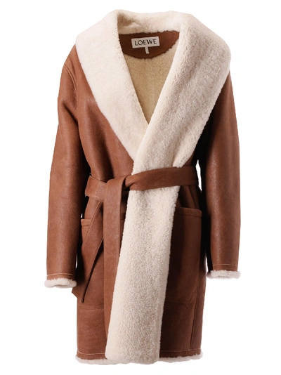 Loewe Fur Trim Belted Coat In Dark Brown