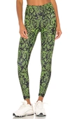 Body Language Sculpt Legging In Neon Snake