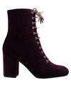 Pollini Ankle Boots In Purple