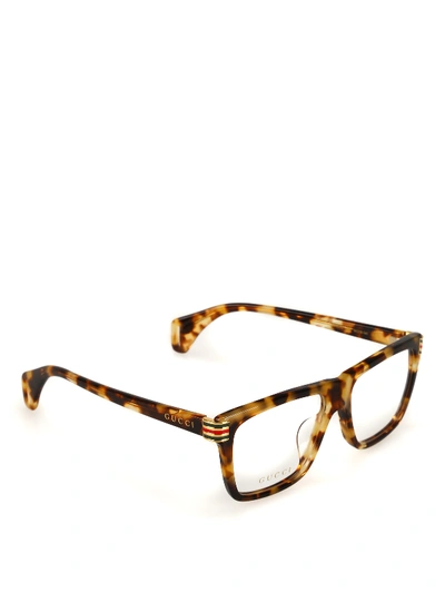 Gucci Havana Squared Eyeglasses In Multicolour