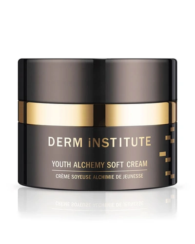 DERM INSTITUTE 1 OZ. YOUTH ALCHEMY SOFT CREAM,PROD224790176