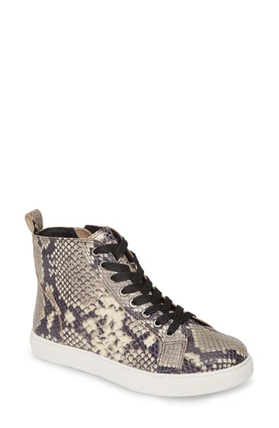 Matisse Entice High Top Sneaker In Black/ White Snake Print