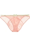 AGENT PROVOCATEUR QUIN LEAVERS LACE AND TULLE BRIEFS
