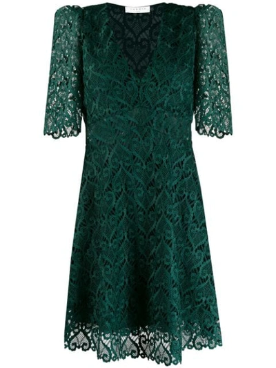 Sandro Hearty Lace Fit & Flare Cocktail Dress In Green