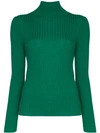 Plan C Turtleneck Ribbed Knit Top In Green