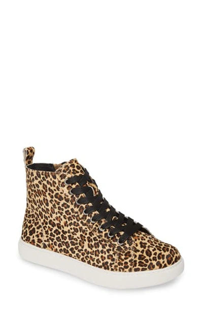 Matisse Entice Calf Hair High Top Sneaker In Leopard Print Calf Hair