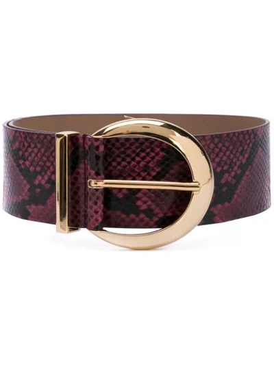 B-low The Belt Curved Buckle Belt In Red