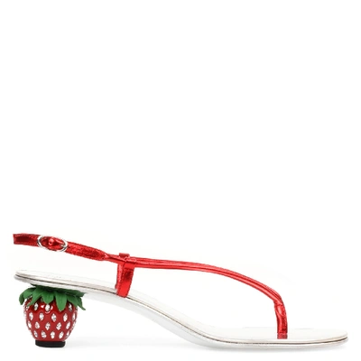 Giuseppe Zanotti Fragola In Red