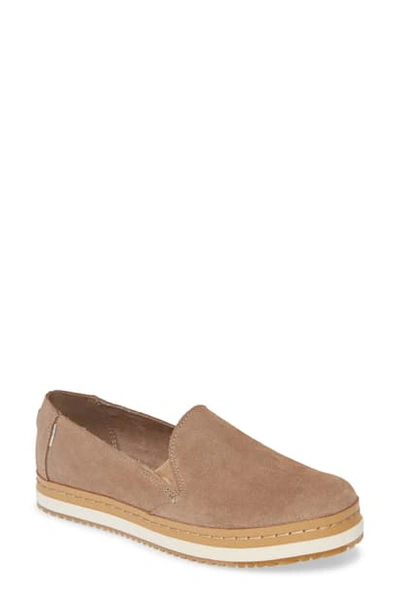 Toms Palma Leather Slip-on Sneaker In Taupe Grey Suede