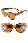 Tom Ford Lou 53mm Cat Eye Sunglasses In Havana/ Brown