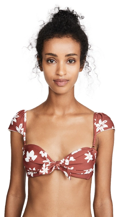 Montce Cabana Bikini Top In Chocolate Floral