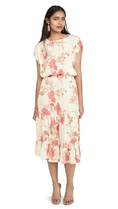 Misa Paulina Dress In White/pink/floral