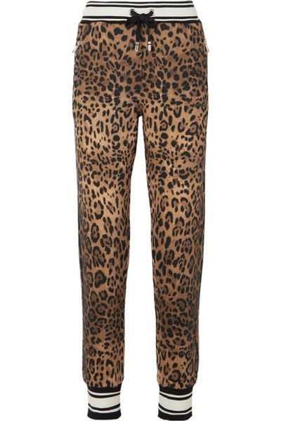 Dolce & Gabbana Leopard-print Cotton-jersey Track Trousers In Leopard Print
