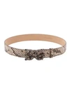 DOLCE & GABBANA WOMEN'S AMORE LOGO PYTHON BELT,0400011159166