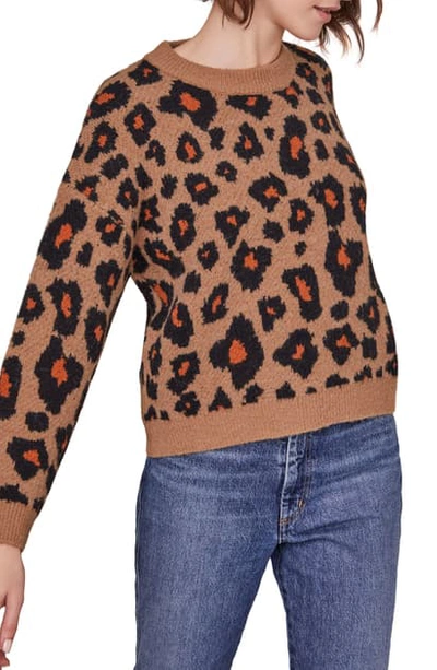 Astr Tobin Intarsia Leopard Crewneck Sweater In Brown Leopard