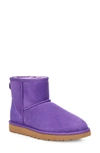 Ugg Women's Classic Ii Mini Boots In Violet Bloom Suede