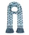 Alexander Mcqueen Wool-blend Fringed Skull Scarf In Blue