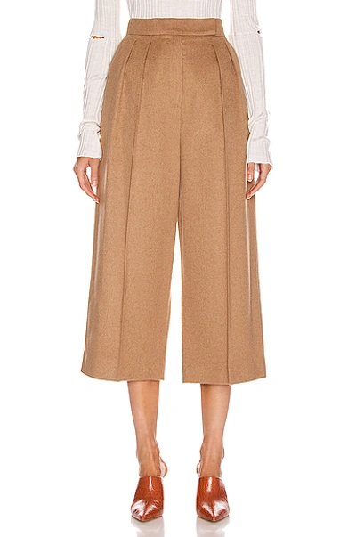 Max Mara Peplo Trousers Coulotte In Beige