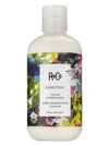 R + Co Gemstone Color + Repair Conditioner