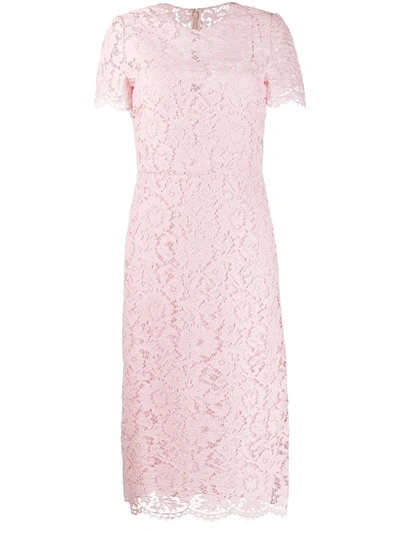 Valentino Floral Lace Fitted Dress In Pink