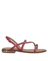 ASH Sandals,11755369IH 9