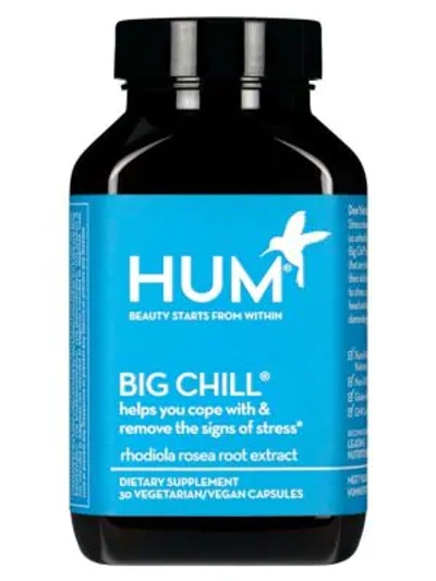 Hum Nutrition Big Chill - Stress Management Supplement