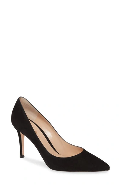 Gianvito Rossi Gianvito 85 Suede Pumps Shoes In Black