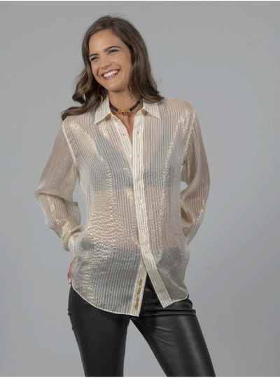 Robert Graham Women's Carrie Sheer Stripe Shirt In Beige Size: Xl By