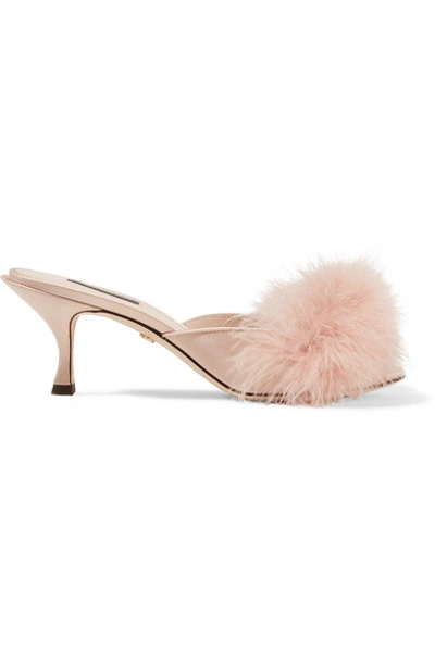 Dolce & Gabbana Keira Feather-embellished Satin Mules In Pink