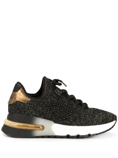 Ash Krush In Black And Gold Knit