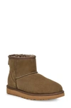 Ugg Classic Mini Ii Genuine Shearling Lined Boot In Eucalyptus Spray