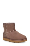 Ugg Classic Mini Ii Suede Ankle Boots In Mole Suede