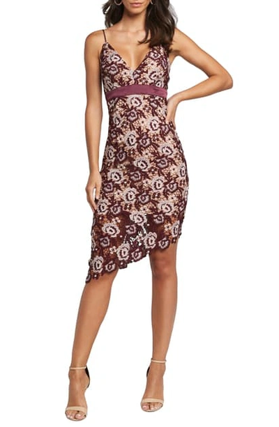 Bardot Dalia Asymmetrical Lace Dress In Burg Fl