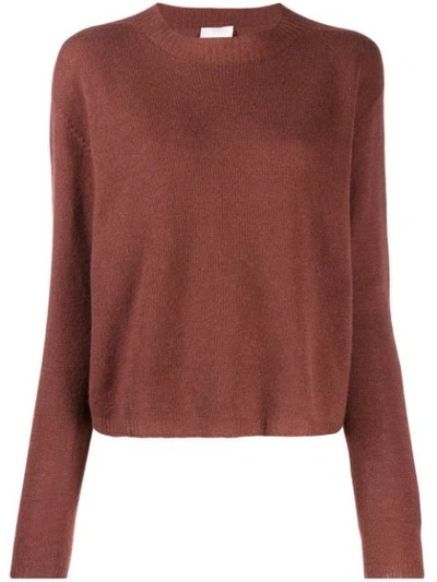 Alysi Fine Knit Sweater In Brown